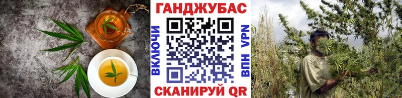 где можно купить наркотик  omg как зайти  Еда ТГК марихуана  Лабинск 