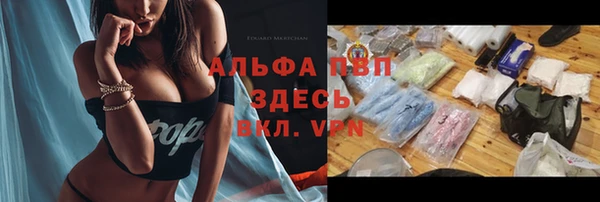 стаф Алексеевка
