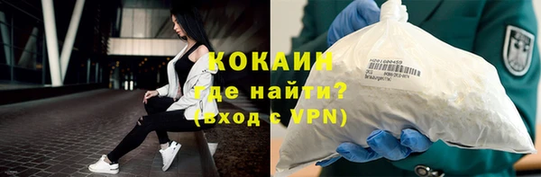 стаф Алексин