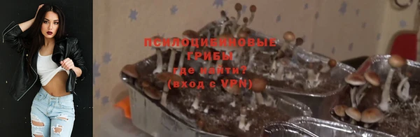 соль ск Алзамай