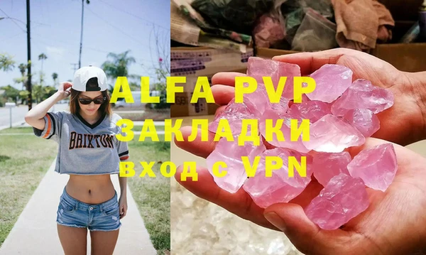 стаф Алексин