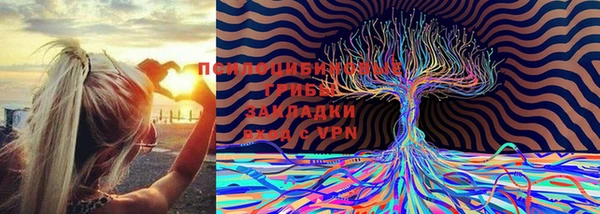стаф Алексин