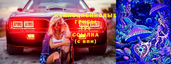 стаф Алексин