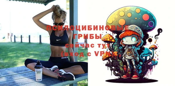ПСИЛОЦИБИНОВЫЕ ГРИБЫ Красноперекопск