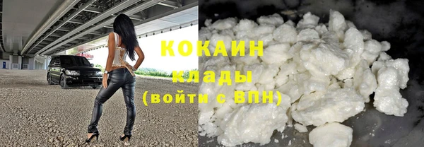 стаф Алексин