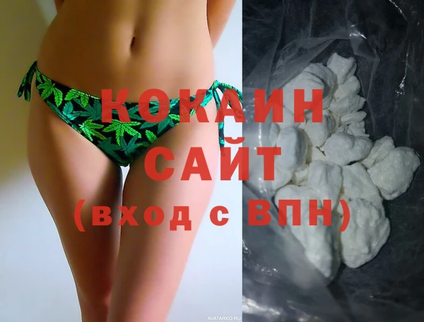 стаф Алексин