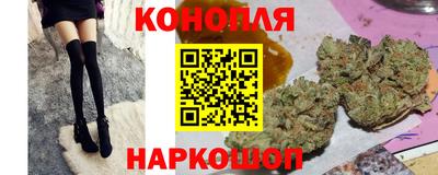 крисы Волгодонск