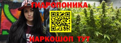 ГАЛЛЮЦИНОГЕННЫЕ ГРИБЫ Коммунар