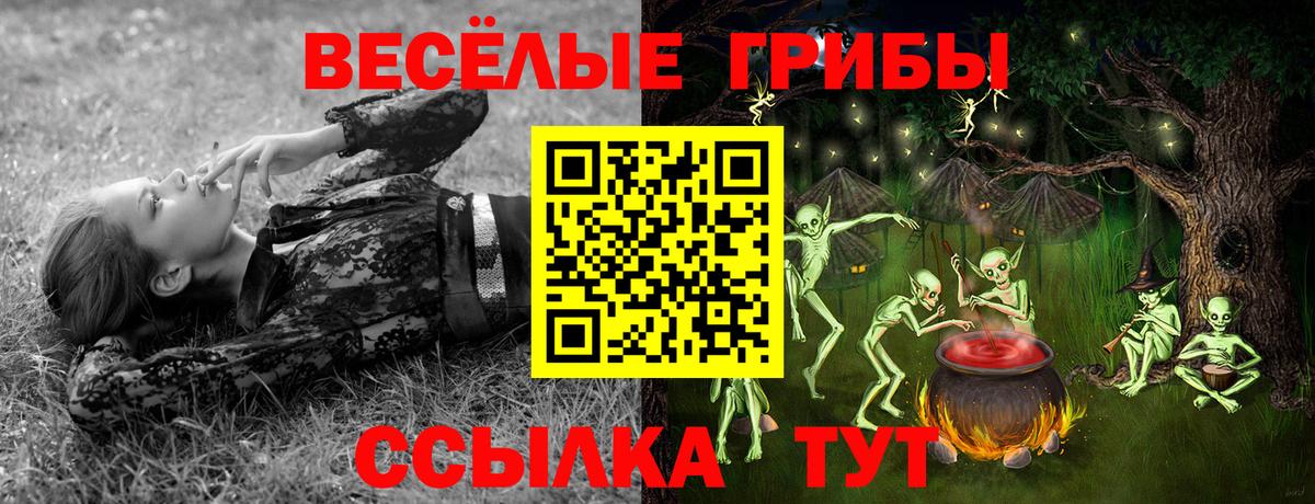 Галлюциногенные грибы мицелий Лабинск