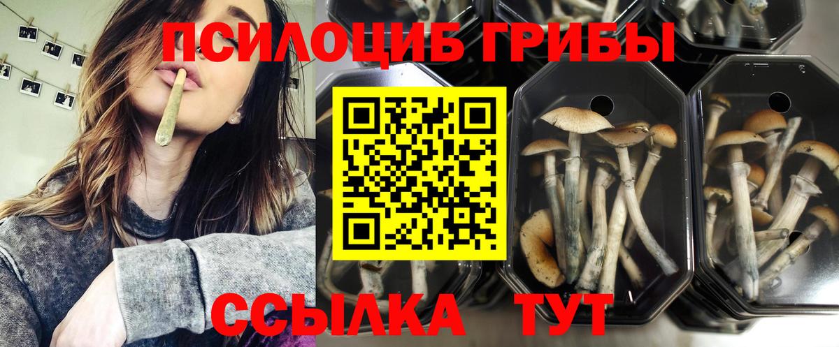 Галлюциногенные грибы ЛСД  Псилоцибиновые грибы мицелий  Лабинск  Вход с VPN 